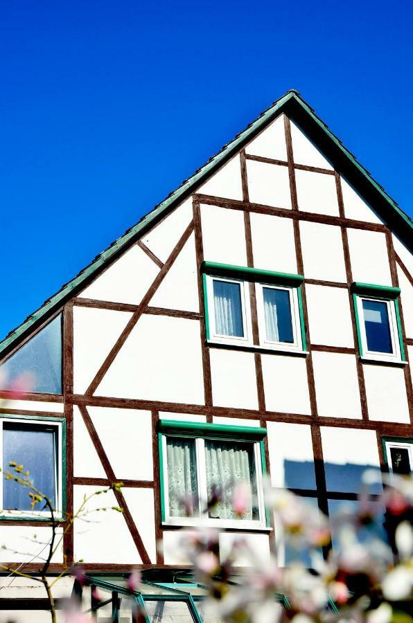 Ferienwohnung Wilhelm Springstille المظهر الخارجي الصورة
