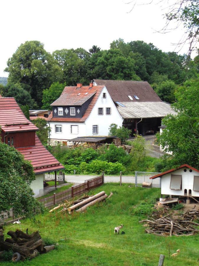 Ferienwohnung Wilhelm Springstille المظهر الخارجي الصورة